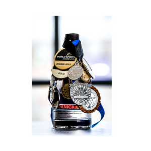 Braunstein DANICA GIN